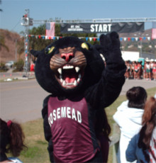 Rosemead