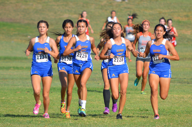 The Bishop Amat Girls on their way to 15 points in Wednesday's meet.